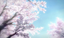 樱花动漫,描绘青春梦想的动漫世界